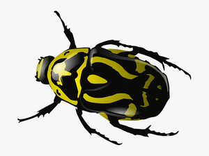 Insect Png Image Download - Beetle Clip Art