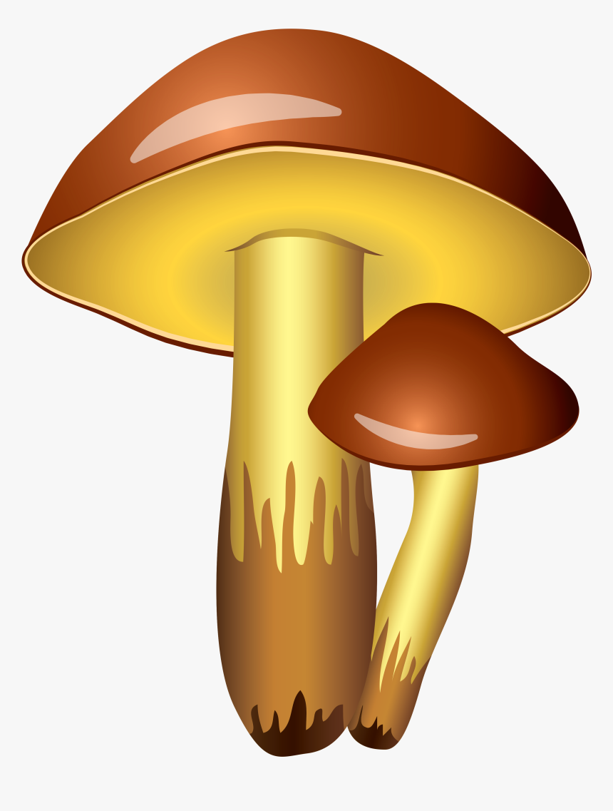 Mushroom Clipart Transparent Background - Clipart Mushroom