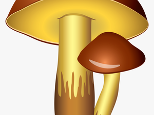 Mushroom Clipart Transparent Background - Clipart Mushroom