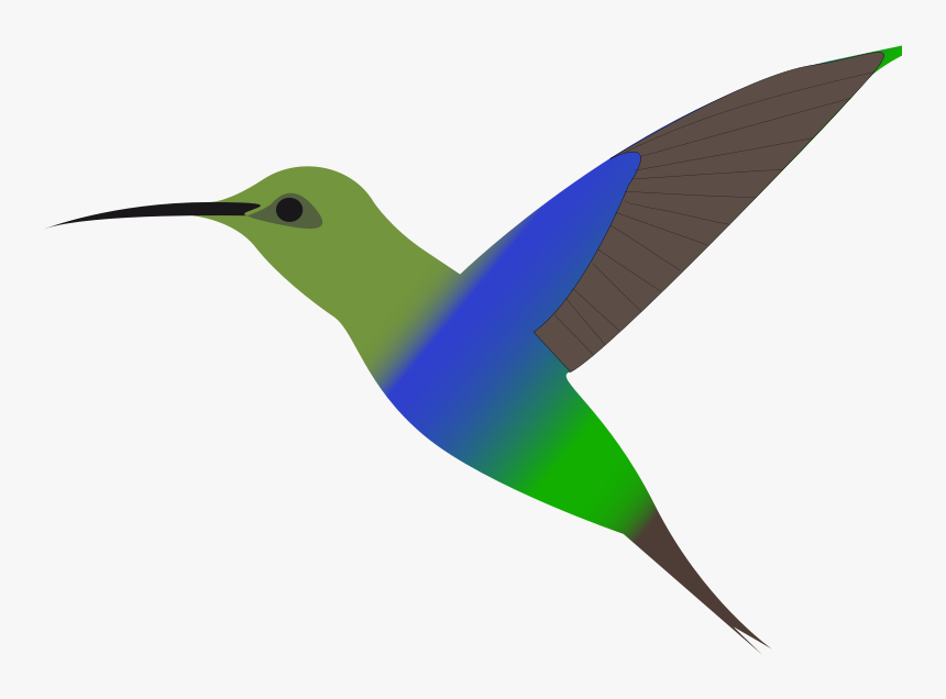 Humming-bird - Hummingbird Clipa