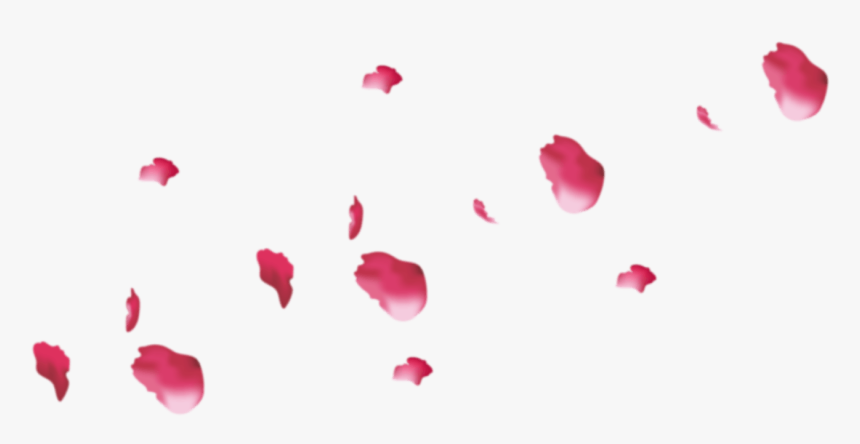 Rose Petals - Pink Flowers Petal