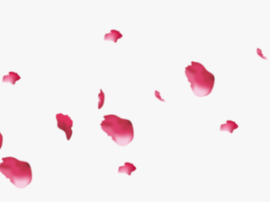 Rose Petals - Pink Flowers Petals Png