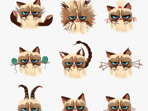 Grumpy Cat Horoscopes - Zodiac Sign Cats