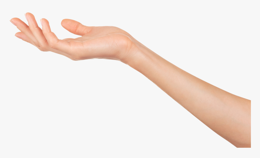 Transparent Mano Png - Woman&#39;s Arm And Hand