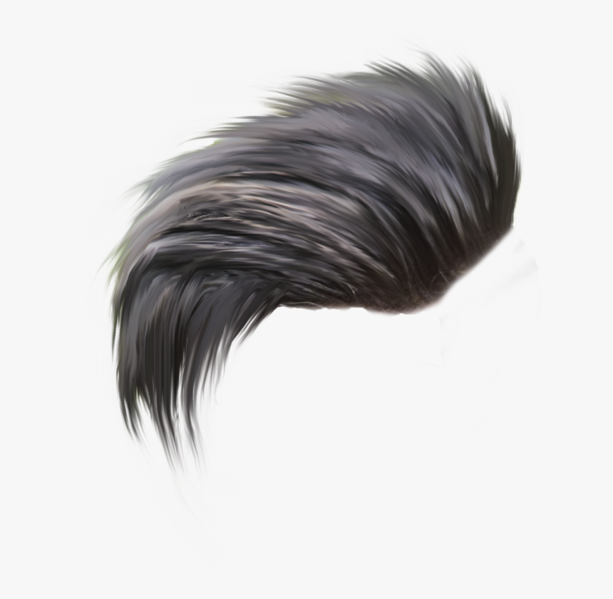 Top 50 Hair Png Download All New
