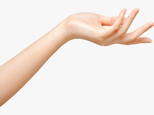 Transparent Transparent Hand Png - Transparent Girls Hand Png