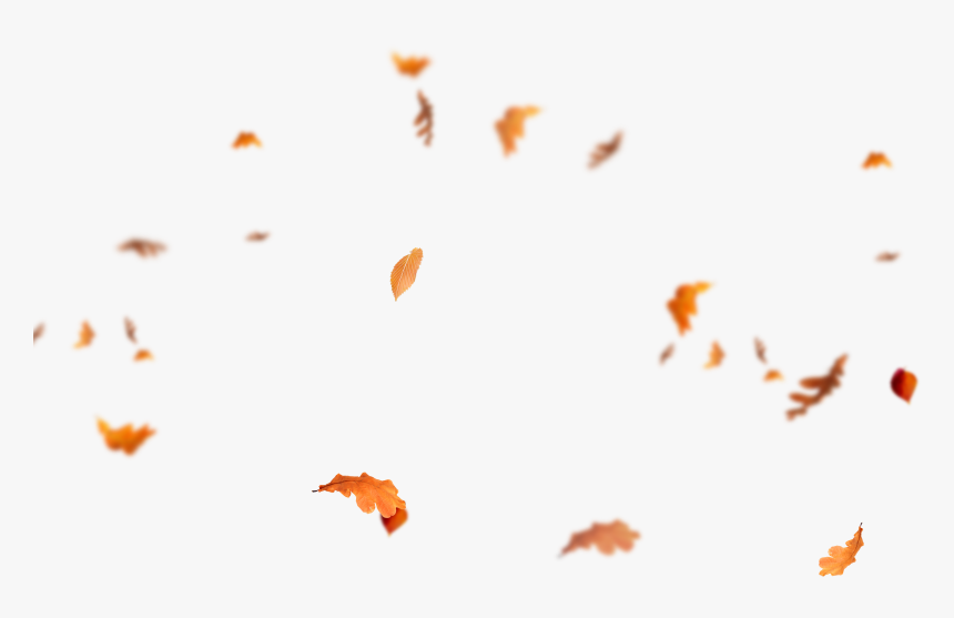 Falling Leaves Png - Autumn Leav