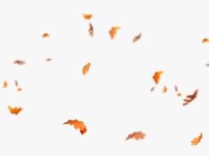Falling Leaves Png - Autumn Leaves Flying Png