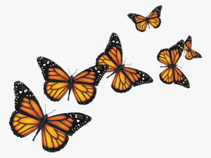 Blue Butterfly Flying Png Download - Transparent Background Butterflies Png