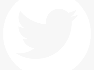 Twitter Png Logo - Twitter Round Icon White