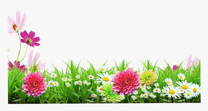 #mq #grass #green #flowers #flower #garden #nature - Background Flower Images Png