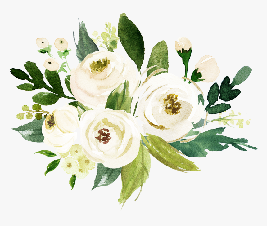 Watercolor White Flower Png