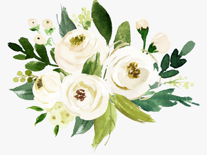 Watercolor White Flower Png