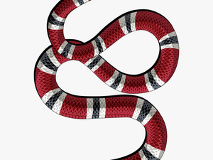 Gucci Snake Png - Gucci Snake Logo Png