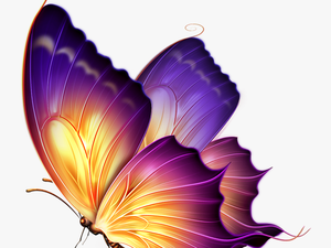 Editing Butterfly Png Download - Butterfly Png For Editing
