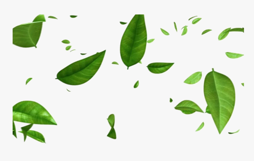 Green Leaves Png Free Image - Tr