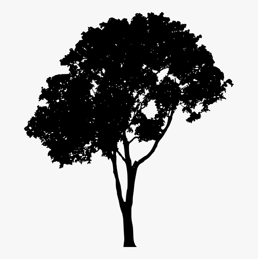 Vector Tree Png - Tree Silhouette Png
