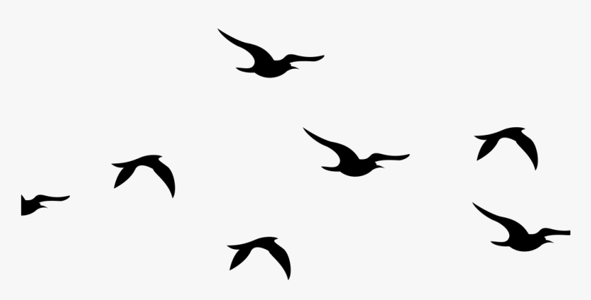 Flying Birds Silhouette Png Clip