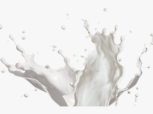 Graphic Royalty Free Library Best United Shakes - Transparent Milk Splash Png