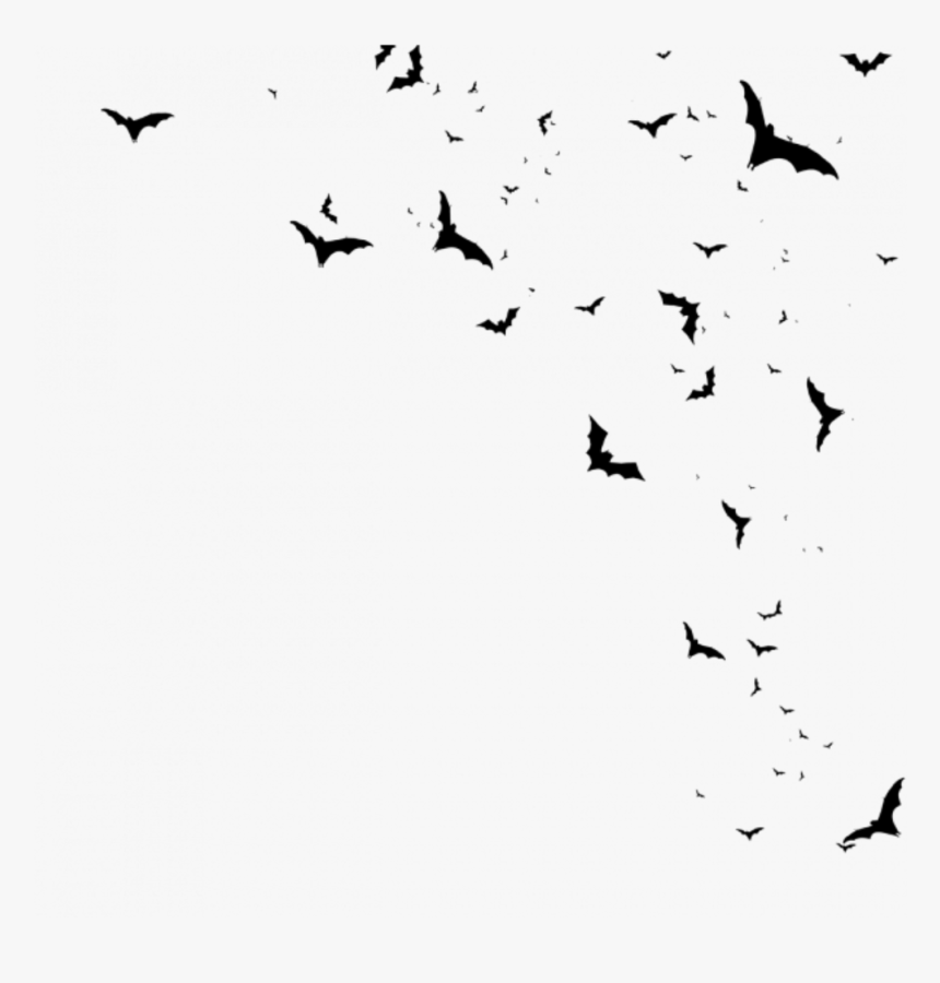 Transparent Flying Bats Clipart 