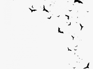Transparent Flying Bats Clipart - Bats Png