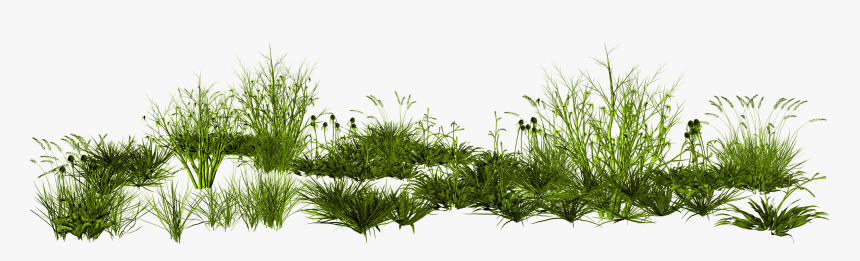 Gimp Rendering Photoscape Creative Green Grass Png - Png Transparent Background Grass Png