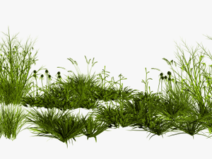Gimp Rendering Photoscape Creative Green Grass Png - Png Transparent Background Grass Png