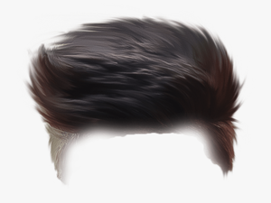 Transparent Boy Brush Hair Clipart - Boy Hair Editing
