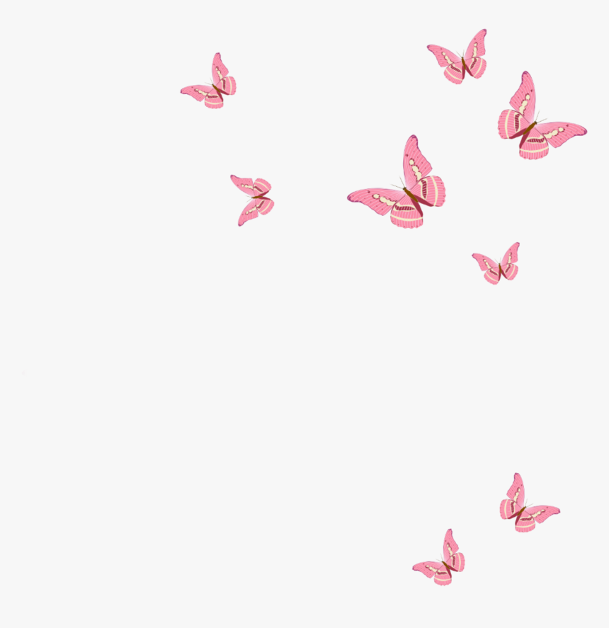 #pink Butterfly - Pink Butterfly Png