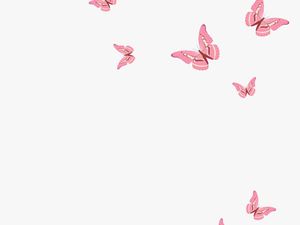 #pink Butterfly - Pink Butterfly Png