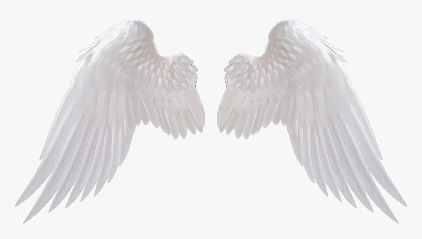 Angel Wings Png - Transparent Ba