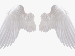 Angel Wings Png - Transparent Background Angel Wings Png