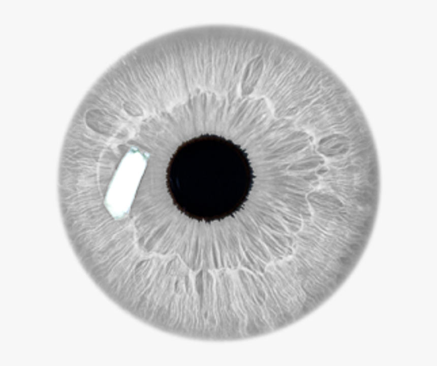 White Eye Png -eye Stickers Transparent Grey Filter - Eye Lens Png Hd
