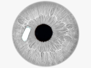 White Eye Png -eye Stickers Transparent Grey Filter - Eye Lens Png Hd