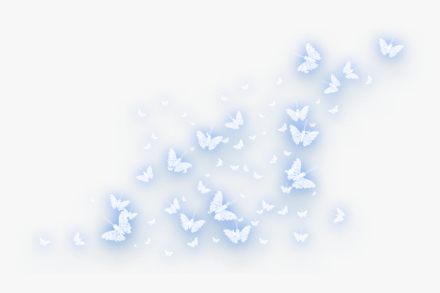 #ftestickers #light #glow #butterflies #butterflylight - Glowing Blue Butterflies Png