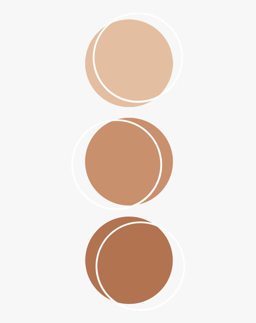 #color #brown #palette #anatomy #aesthetic #kpop - Aesthetic Color Palette Circle