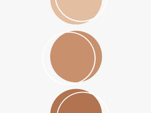 #color #brown #palette #anatomy #aesthetic #kpop - Aesthetic Color Palette Circle