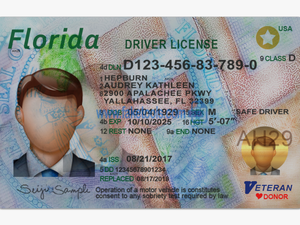 Florida Driver License Psd Template - Florida Drivers License Psd