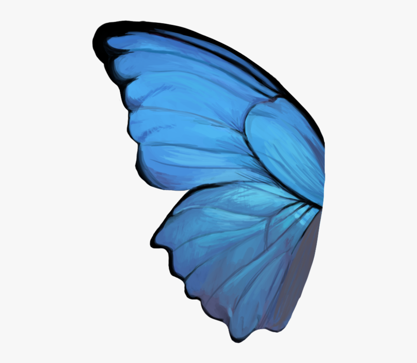 Butterfly Wing - Blue Butterfly Wings Png