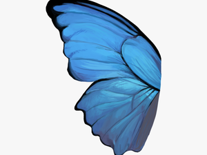 Butterfly Wing - Blue Butterfly Wings Png
