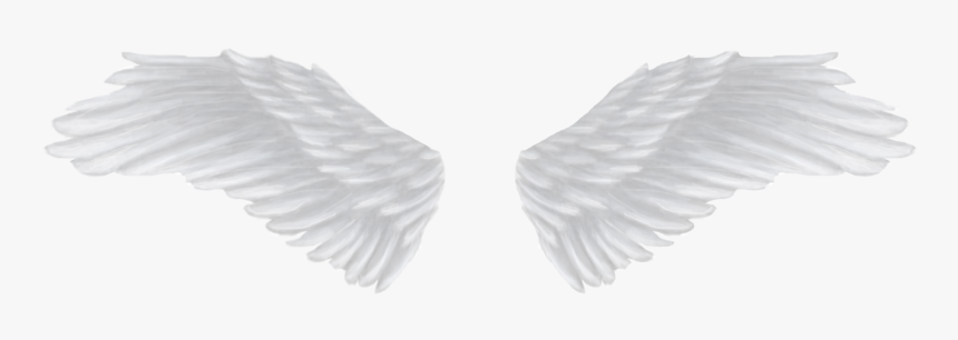 White Angel Wings Png