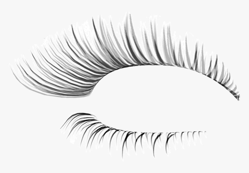 Eye Lash Extension - Transparent