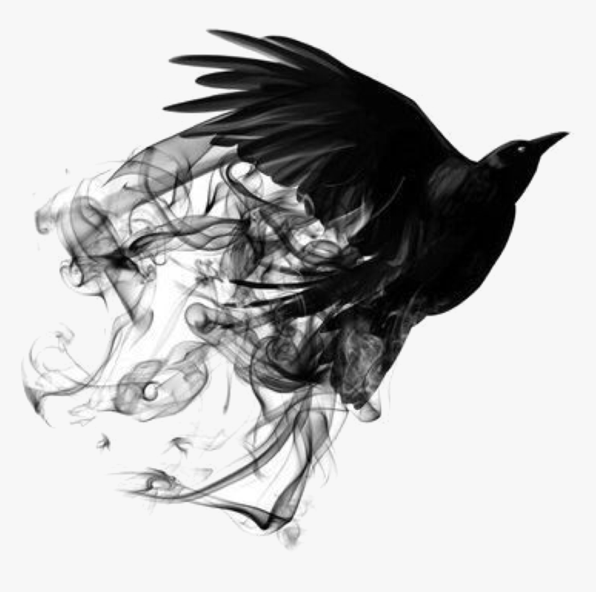 #bird #smoke #freetoedit - Black