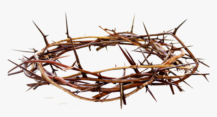 Crown Of Thorns Png Free Pic - C