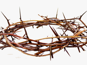 Crown Of Thorns Png Free Pic - Crown Of Thorns Png