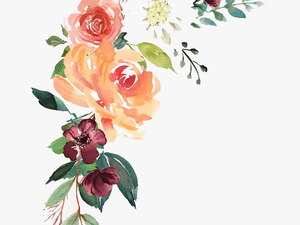 Transparent Download Transparent Png Images - Watercolor Flowers Transparent Png