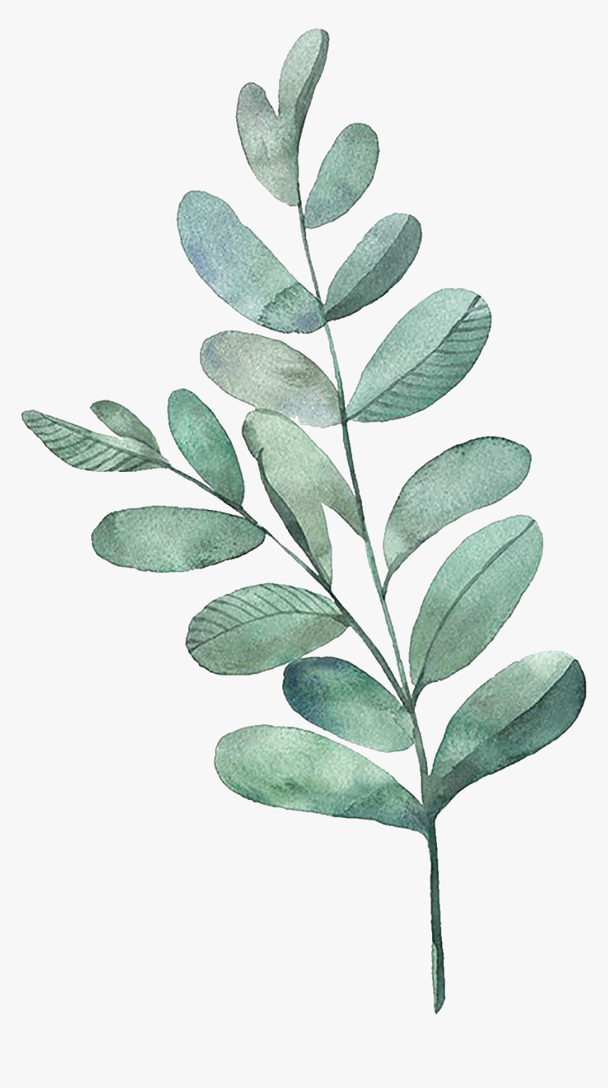 Watercolor Painting Leaf Illustration Watercolor Leaves - Transparent Watercolor Leaves Png