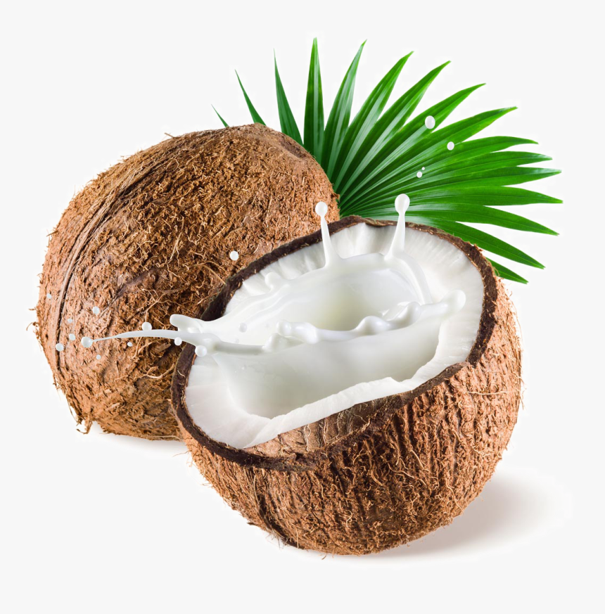 Transparent Coconut Png Images -