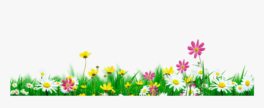 #mq #green #grass #flowers #flower #white - Grama Florzinha Png