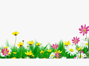 #mq #green #grass #flowers #flower #white - Grama Florzinha Png